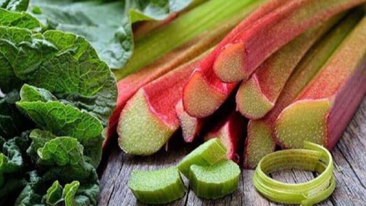 فصل بهار این سبزی فصل بهار را فراموش نکنید