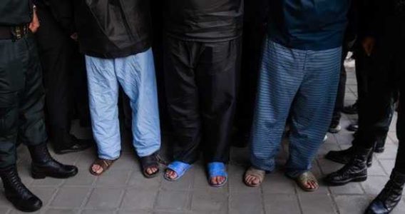 کشف کارگاه جعل مدرک تحصیلی در غرب کشور؛ دستگیری 3 متهم اصلی