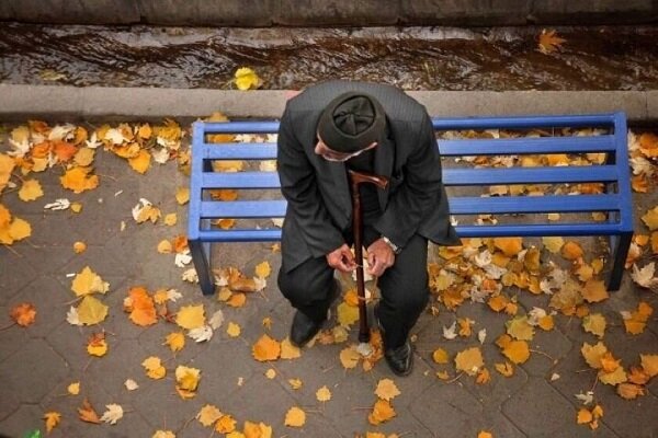 ۱۳ درصد از جمعیت کاشان سالمند هستند - خبرگزاری سفیر سبز | اخبار ایران و جهان