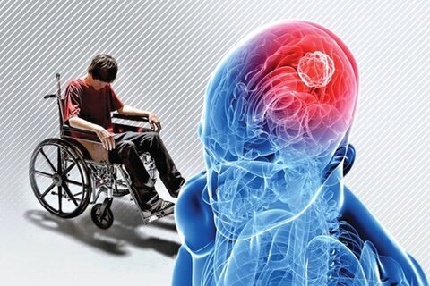 رژیم غذایی تاثیر انواع رژیم غذایی بر روی بیماران مبتلا به «اماس»