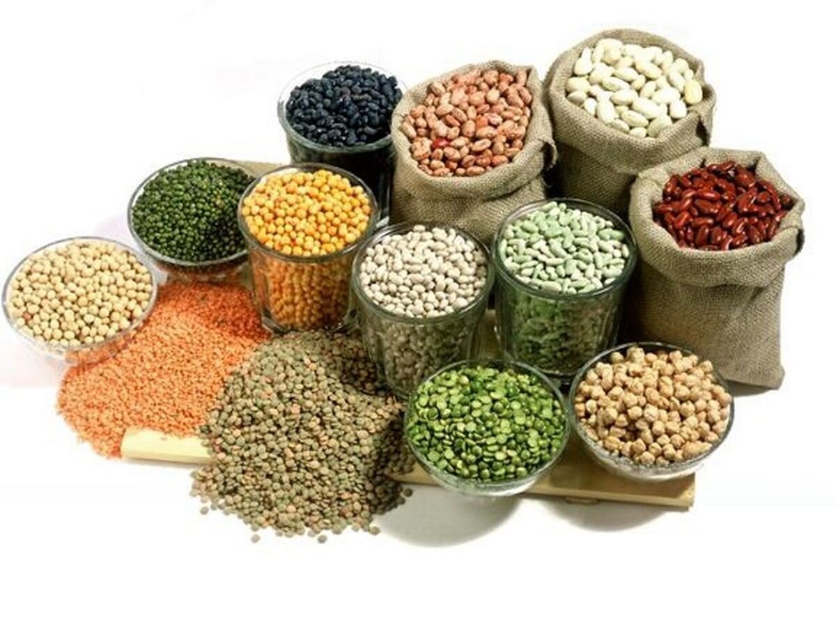 افزایش قیمت حبوبات و مسئله امنیت غذایی سبد مصرف خانوار شهری - خبرگزاری سفیر سبز | اخبار ایران و جهان