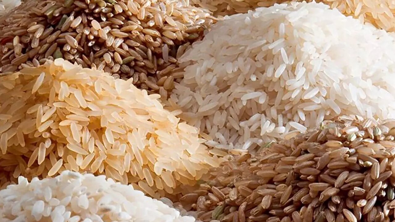 ۲۰۰ هزار تن برنج در انتظار مجوز ترخیص - خبرگزاری سفیر سبز | اخبار ایران و جهان