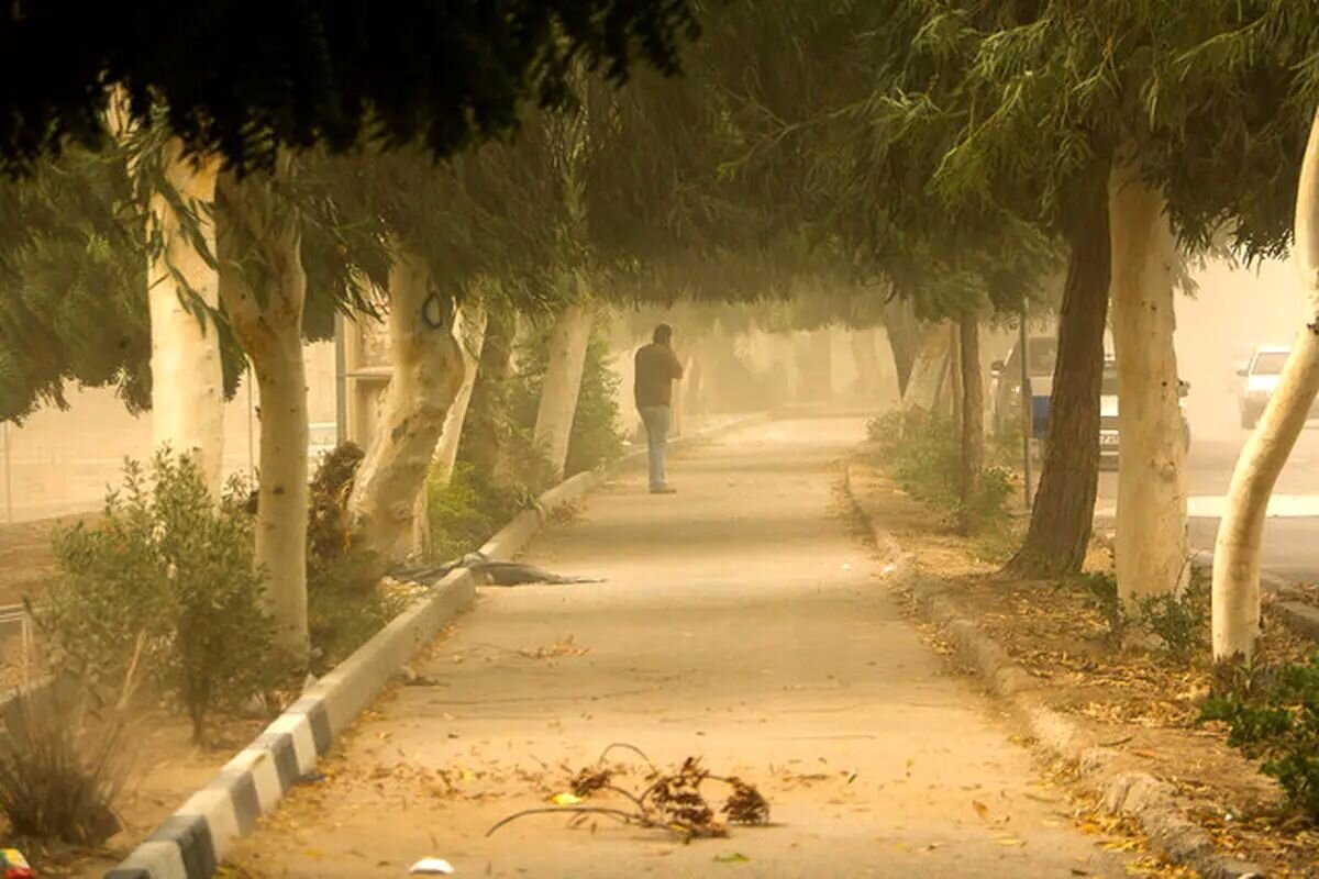 طوفان امروز کار دست تهرانی ها داد/ جزئیات آمار