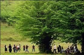 «سیزده بدر»، از جشن طبیعت تا چالش های زیست محیطی